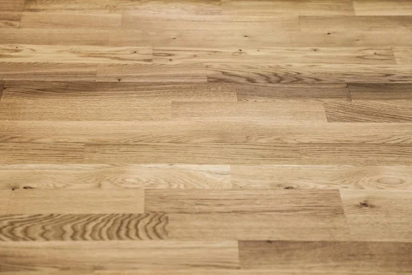 Hafif renkli Lake kat 