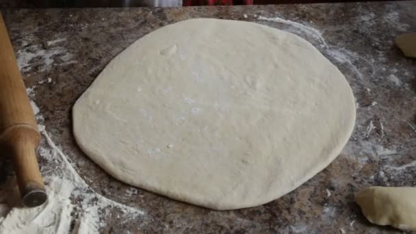 Ruwe Deeg Snijden Vrouwen Handen Rondes Voor Het Dumplings Maken — Stockvideo