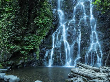  büyüleyici yeşilliklerin ortasında güzel Şelale Gürcistan'da yer almaktadır
