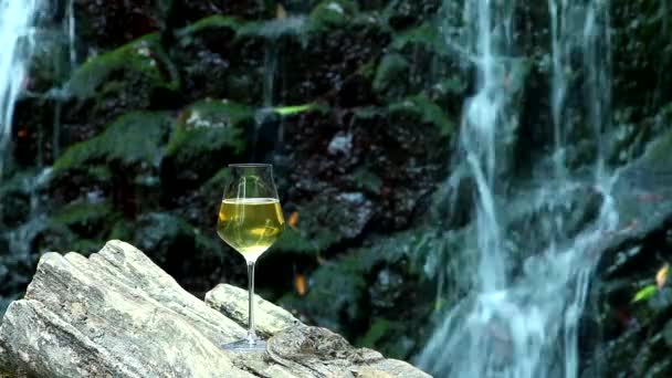 白ワインのグラスは 滝のある岩を背景に木製の表面に立っています — ストック動画