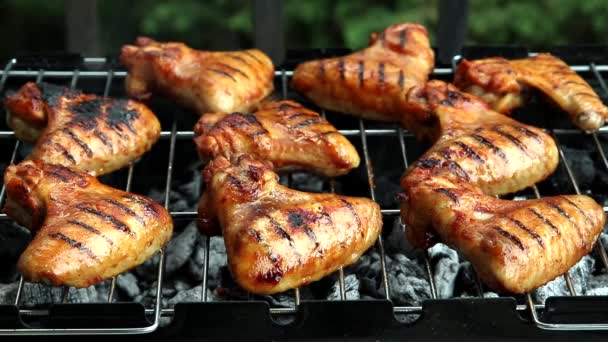 Kippenvleugels Grill Man Smeert Een Borstel Met Marinade Saus Vleugels — Stockvideo