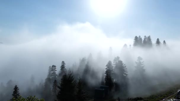 Zeitraffer Nebel Zieht Einem Gebirgstal Auf Georgien — Stockvideo