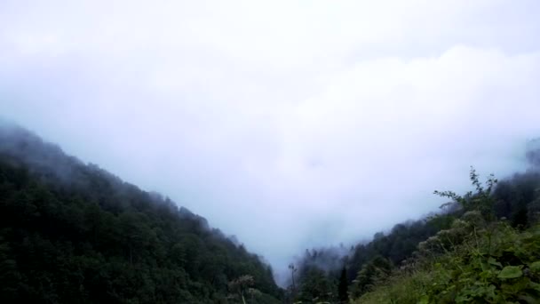Timelapse Ομίχλη Κινείται Μια Ορεινή Κοιλάδα Γεωργία — Αρχείο Βίντεο