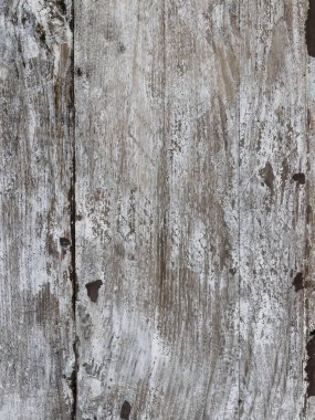 Lezzetli ev yapımı turta ile dolgulu erik, yakın çekim