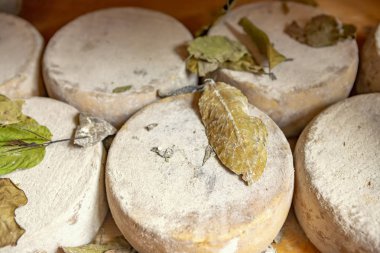 Italya 'da geleneksel peynir turu