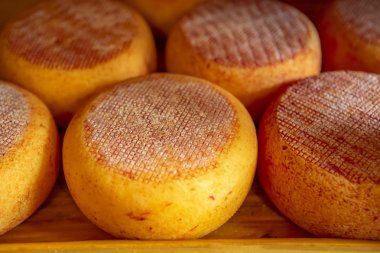 Italya 'da geleneksel peynir turu