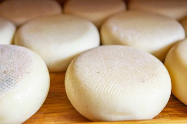 Italya 'da geleneksel peynir turu