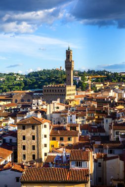Floransa şehir ve katedral görünümü