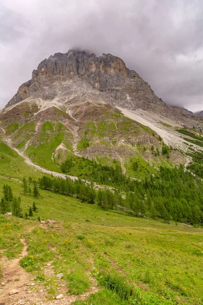 Panoramablick Auf Die Alpen — Stockfoto