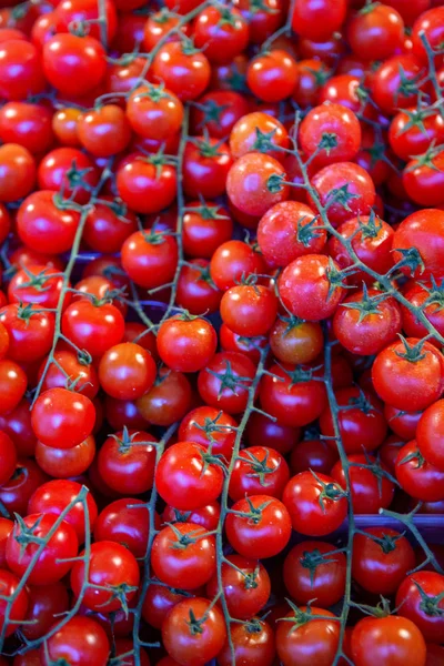 Roșii Proaspete Cherry Fundal — Fotografie, imagine de stoc