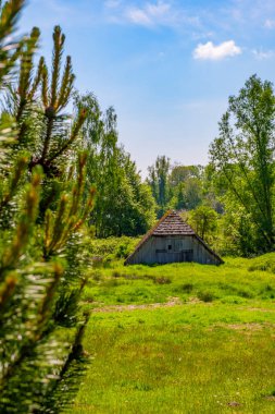 Haus gökyüzü yaz gün