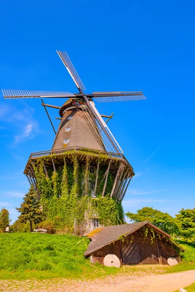 Kleurrijke Windmolen Gifhorn Zomer — Stockfoto