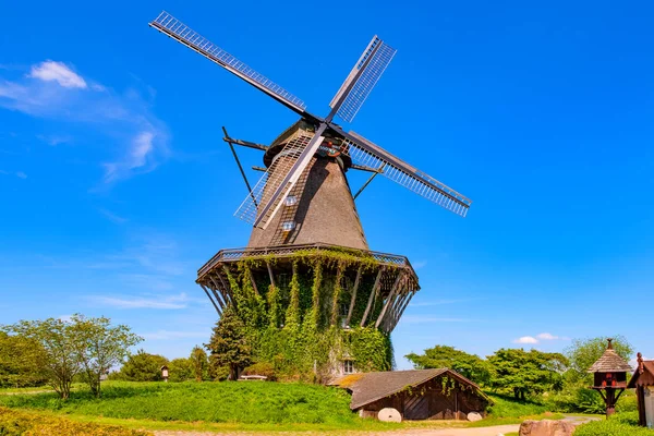 Colorful Windmill Gifhorn Summer — Stock Photo, Image