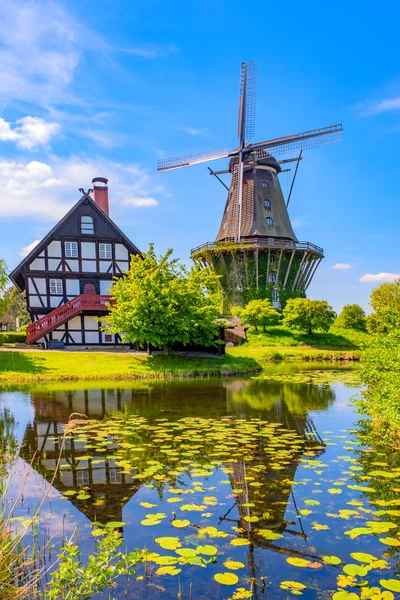 Colorful Windmill Gifhorn Lake Summer — Stock Photo, Image