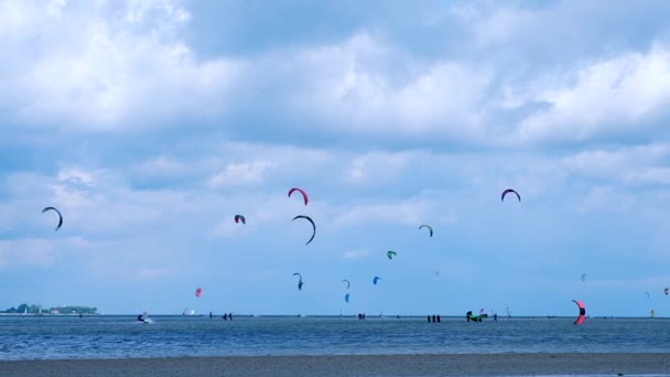 Windsurfing και kitesurfing στη Βαλτική Θάλασσα. — Αρχείο Βίντεο
