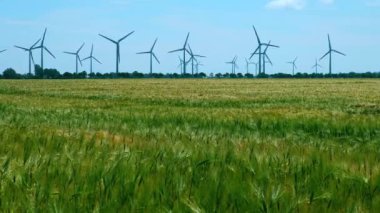 Rüzgarda sallanan buğday kulaklarıyla elektrik jeneratörleri.
