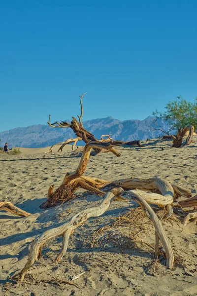 Mesquite Flat Sand Dunes Park Narodowy Dolina Śmierci Kalifornia Usa — Zdjęcie stockowe