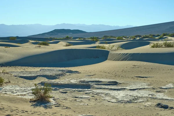 Mesquite Flat Sanddyner Death Valley National Park Kalifornien Usa — Stockfoto