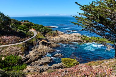 Big Sur, Kaliforniya 'nın orta kesiminde seyrek nüfuslu bir bölgedir.