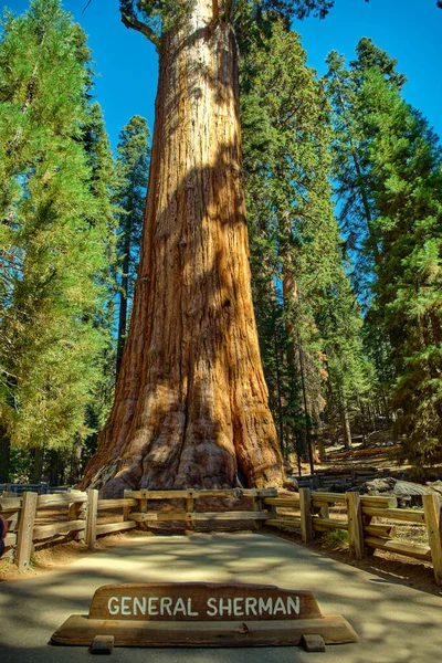 Národní park Sequoia v Kalifornii, USA. — Stock fotografie