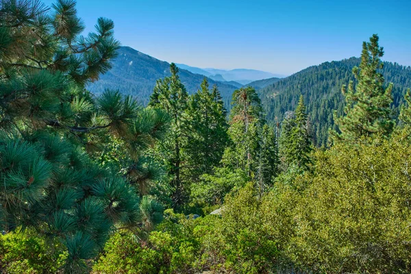 Национальный парк Секвойя в Калифорнии, США. Лицензионные Стоковые Фото