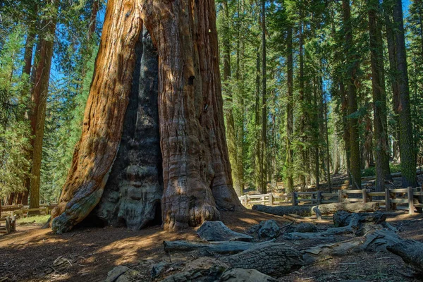 Národní park Sequoia v Kalifornii, USA. — Stock fotografie