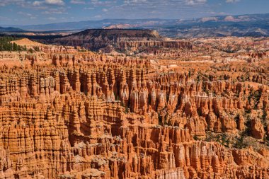 Bryce Canyon Ulusal Parkı 'nın muhteşem manzarası.