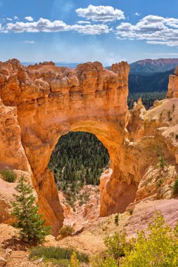 Bryce Canyon Ulusal Parkı 'nın muhteşem manzarası.