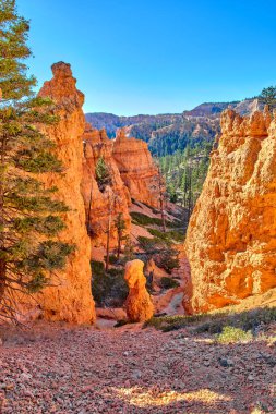 Bryce Canyon Ulusal Parkı 'nın muhteşem manzarası.