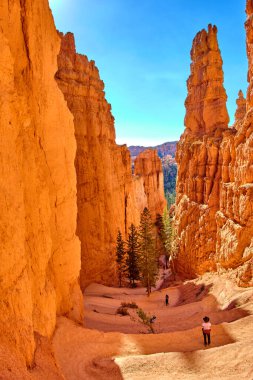 Bryce Canyon Ulusal Parkı 'nın muhteşem manzarası.
