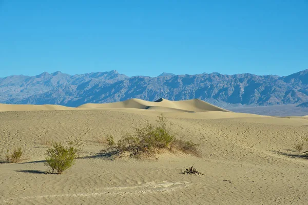 Mesquite Flat Sanddyner Death Valley National Park Kalifornien Usa — Stockfoto