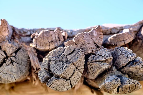 Velhos, tábuas de madeira com textura como fundo — Fotografia de Stock