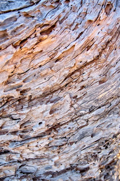 Tableros antiguos de madera con textura como fondo — Foto de Stock