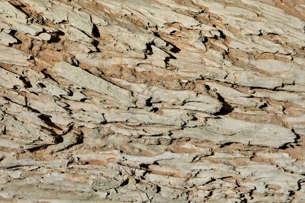 Tableros antiguos de madera con textura como fondo — Foto de Stock