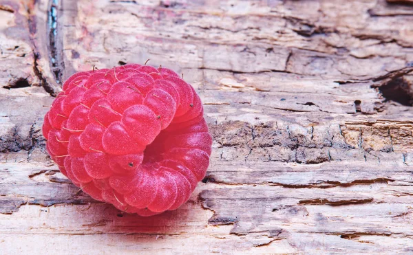 Single Grote Framboos Macro Houten Achtergrond — Stockfoto