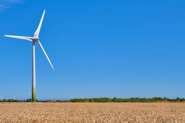 Electricity Wind turbines in a field of wheat. — Stock Photo, Image