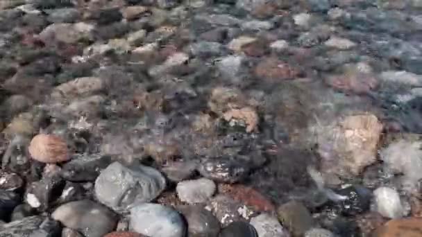 A Balti-tenger sziklás partja és a hullámok a köveknek csapódnak. — Stock videók