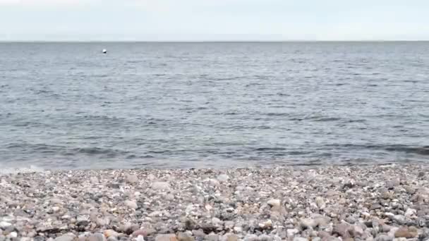 Скелясте узбережжя Балтійського моря й хвилі б "ються об каміння.. — стокове відео