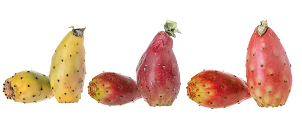 Различные фрукты кактуса, выделенные на белом фоне. — стоковое фото