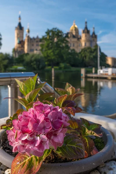 Flores em um dia de verão com um belo castelo em Schwerin, no fundo. — Fotografia de Stock