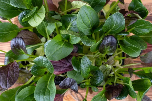 Verse saladebladeren in een houten kom op rustieke houten ondergrond — Stockfoto