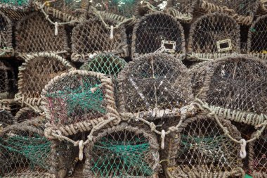 ıstakoz net ve arka plan görüntüsü