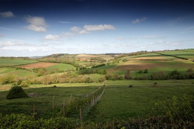 North york moors İngiltere'de manzaralı