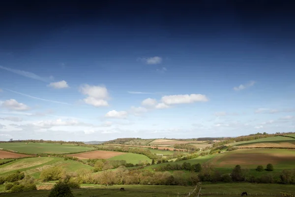 North York Moors Ngiltere Manzaralı — Stok fotoğraf