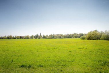 houghton Cambridgeshire İngiltere'de yeşil alanlara görüntüsünü landsacape