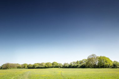houghton Cambridgeshire İngiltere'de yeşil alanlara görüntüsünü landsacape