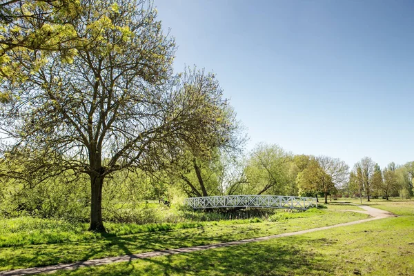 Image Paysage Parc Neots Dans Comté Cambridgeshire Angleterre — Photo