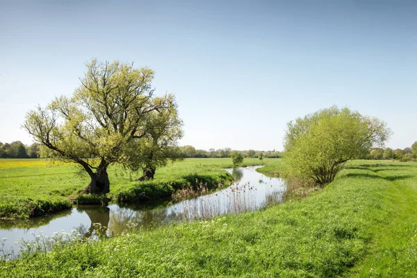 houghton Cambridgeshire İngiltere'de yeşil alanlara görüntüsünü landsacape