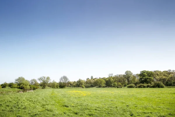 剑桥英国霍顿 Landsacape 的绿色田野形象 — 图库照片