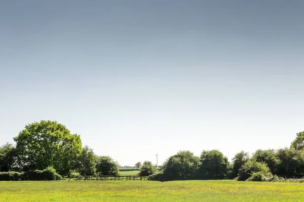 Landsacape Obrazu Zielonych Pól Houghton Anglii Cambridgeshire — Zdjęcie stockowe